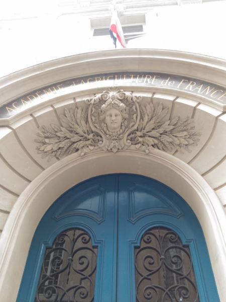 Париж, Париж, Париж или сбывшиеся мечты мамы и дочи