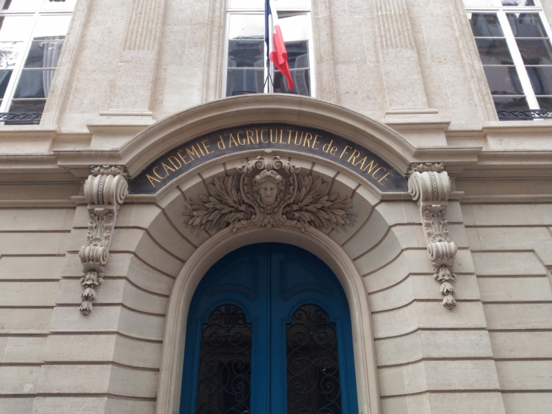 Париж, Париж, Париж или сбывшиеся мечты мамы и дочи