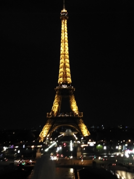 Париж, Париж, Париж или сбывшиеся мечты мамы и дочи