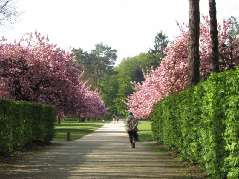 Париж, Париж, Париж или сбывшиеся мечты мамы и дочи