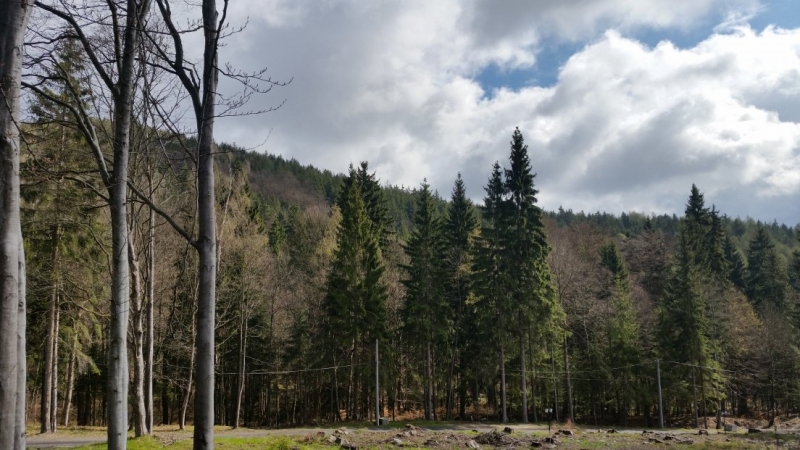 В Чехию и Австрию из Москвы за 10 дней