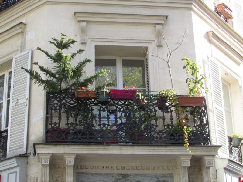 Париж, Париж, Париж или сбывшиеся мечты мамы и дочи