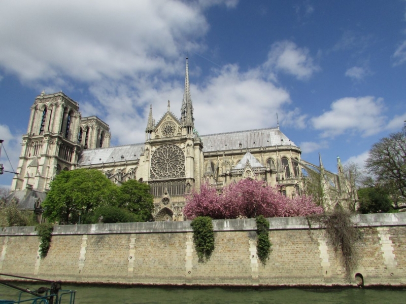 Париж, Париж, Париж или сбывшиеся мечты мамы и дочи