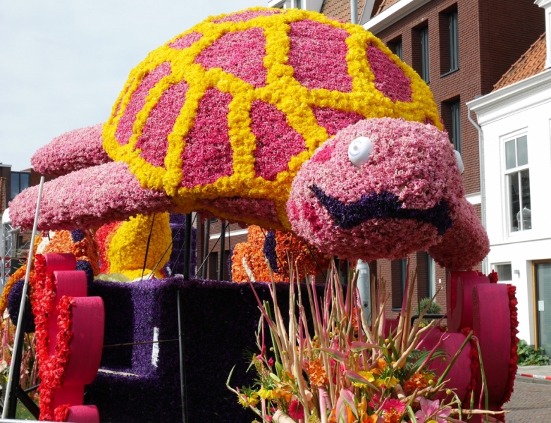 Цветочные поля и Bloemencorso 2017