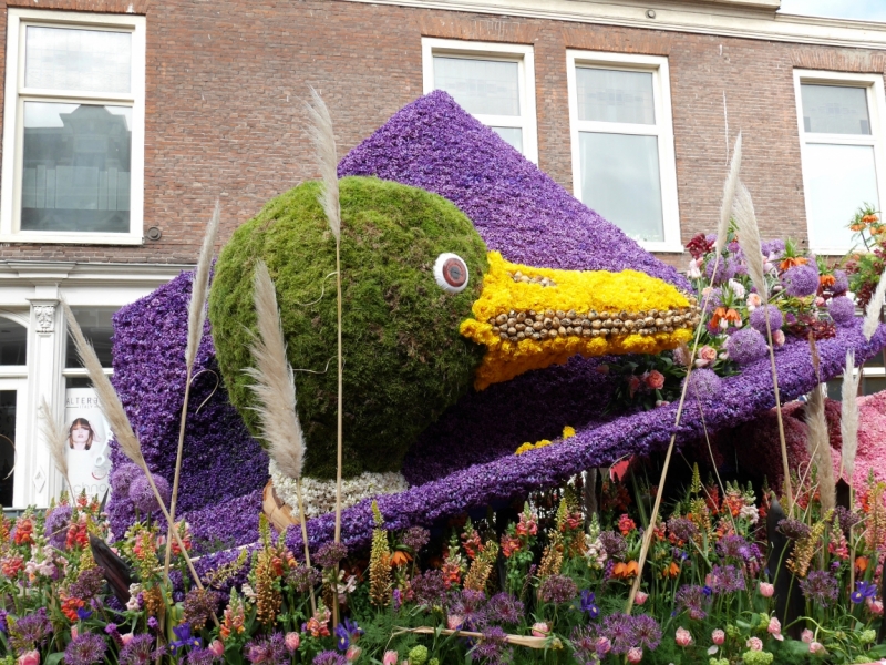 Цветочные поля и Bloemencorso 2017