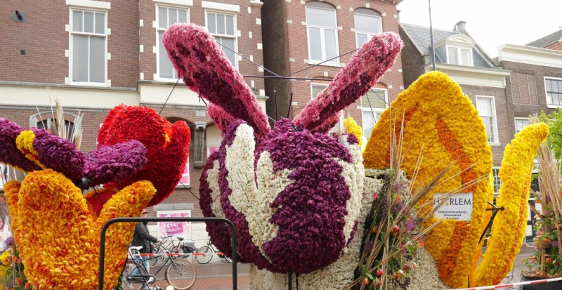 Цветочные поля и Bloemencorso 2017