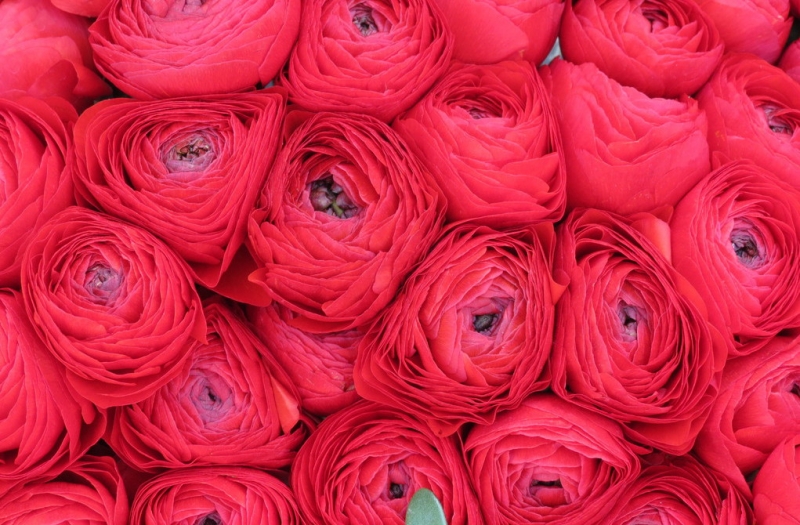 Случайная Италия. Просто погулять. Бергамо-Больцано-Брешиа, март 2017.