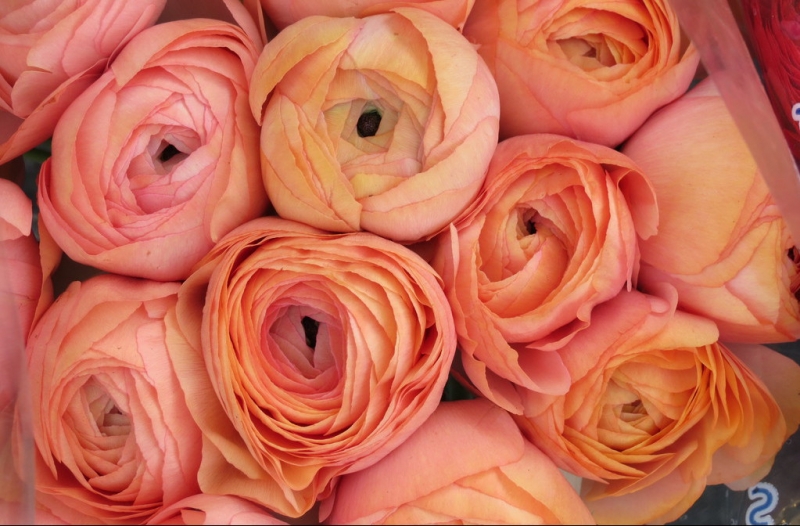 Случайная Италия. Просто погулять. Бергамо-Больцано-Брешиа, март 2017.