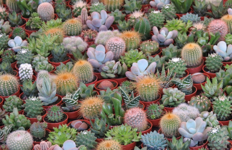 Случайная Италия. Просто погулять. Бергамо-Больцано-Брешиа, март 2017.