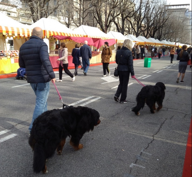 Случайная Италия. Просто погулять. Бергамо-Больцано-Брешиа, март 2017.