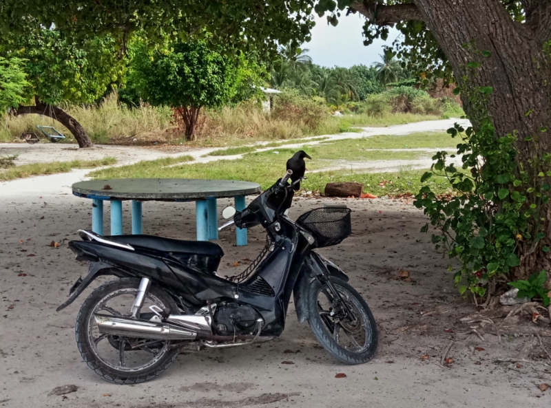 Атолл Goidhu (Гойду) и его острова Fulhadhoo (Фулхадху, Фуладу) и Goidhoo (Гойдху)