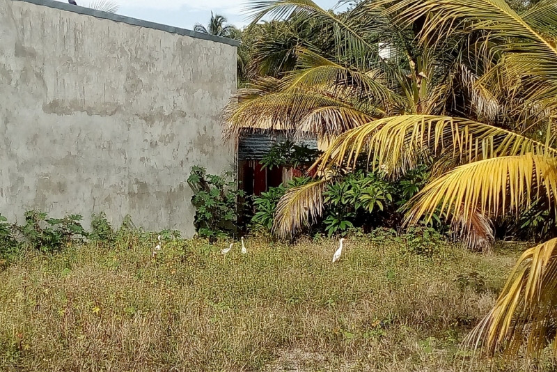 Атолл Goidhu (Гойду) и его острова Fulhadhoo (Фулхадху, Фуладу) и Goidhoo (Гойдху)