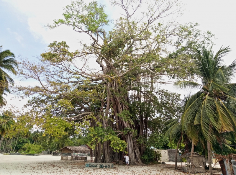 Атолл Goidhu (Гойду) и его острова Fulhadhoo (Фулхадху, Фуладу) и Goidhoo (Гойдху)