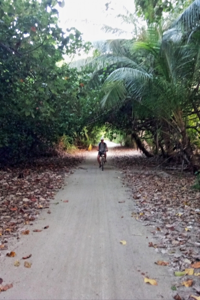 Атолл Goidhu (Гойду) и его острова Fulhadhoo (Фулхадху, Фуладу) и Goidhoo (Гойдху)