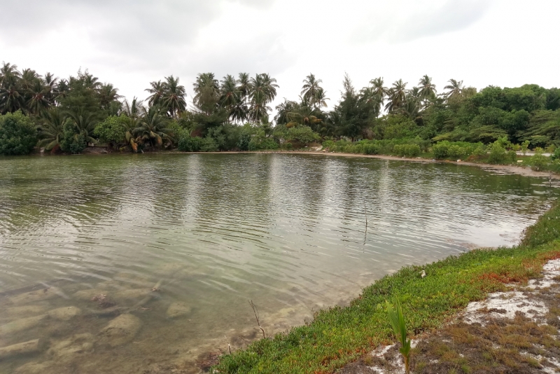 Атолл Goidhu (Гойду) и его острова Fulhadhoo (Фулхадху, Фуладу) и Goidhoo (Гойдху)