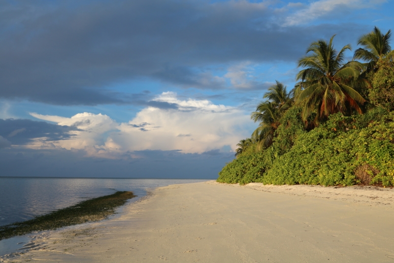 Атолл Goidhu (Гойду) и его острова Fulhadhoo (Фулхадху, Фуладу) и Goidhoo (Гойдху)