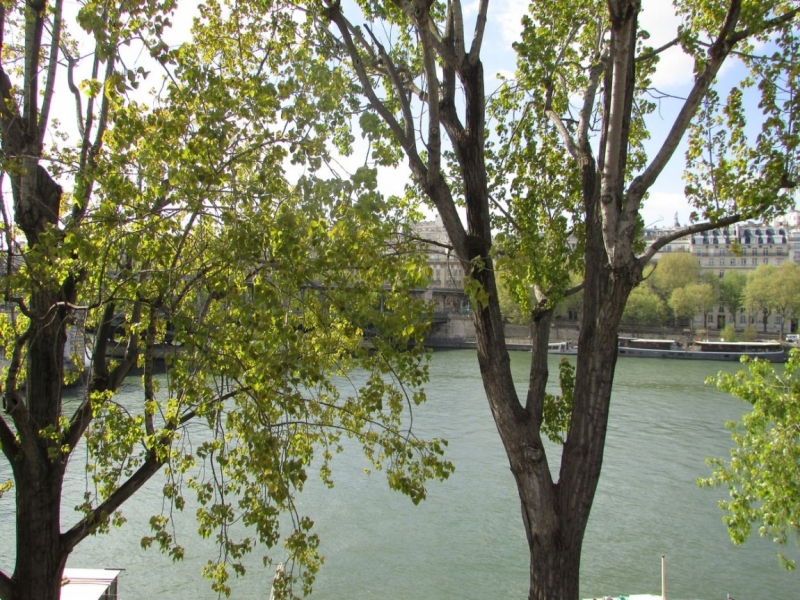 Париж, Париж, Париж или сбывшиеся мечты мамы и дочи