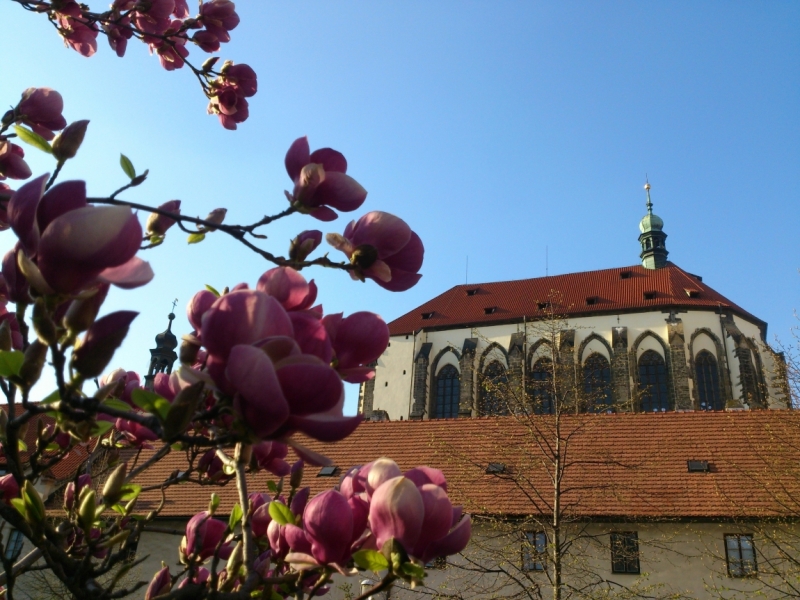 Весна в городе красных крыш. Прага и не только...
