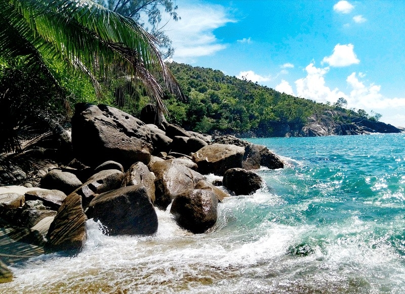 Сейшелы бюджетно март 2017