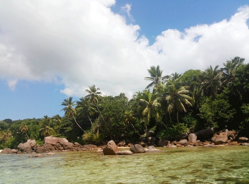 Сейшелы бюджетно март 2017