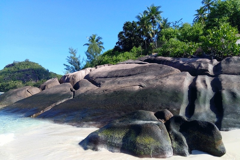 Сейшелы бюджетно март 2017