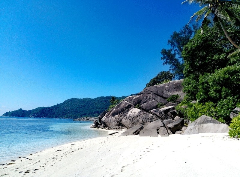 Сейшелы бюджетно март 2017