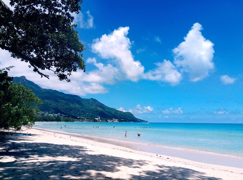 Сейшелы бюджетно март 2017