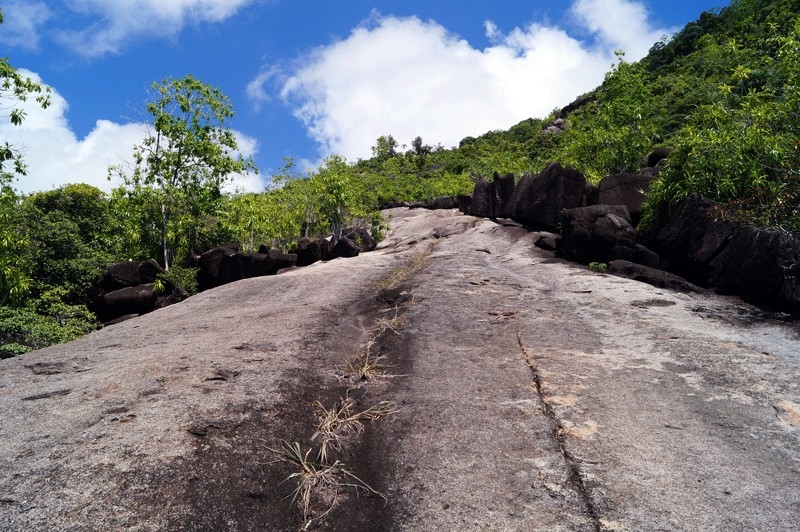 Сейшелы бюджетно март 2017