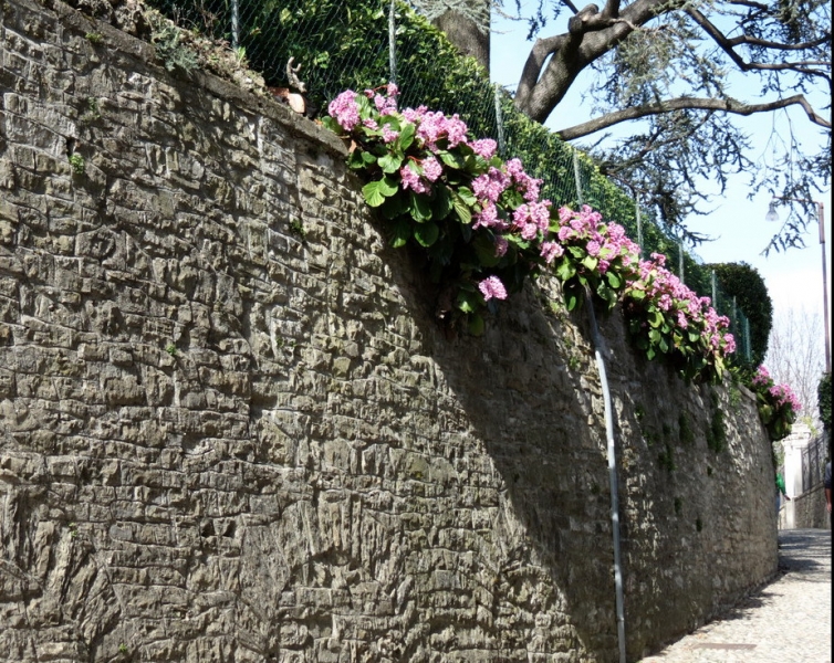 Случайная Италия. Просто погулять. Бергамо-Больцано-Брешиа, март 2017.