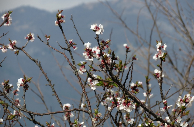 Случайная Италия. Просто погулять. Бергамо-Больцано-Брешиа, март 2017.