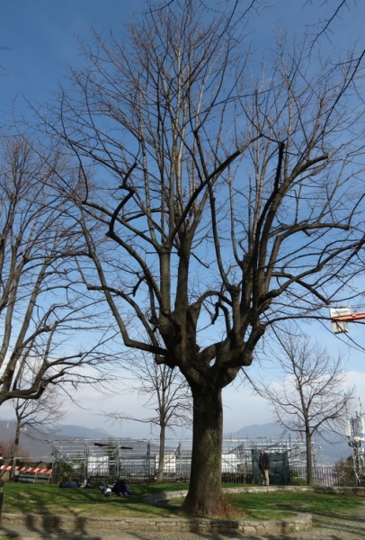 Случайная Италия. Просто погулять. Бергамо-Больцано-Брешиа, март 2017.