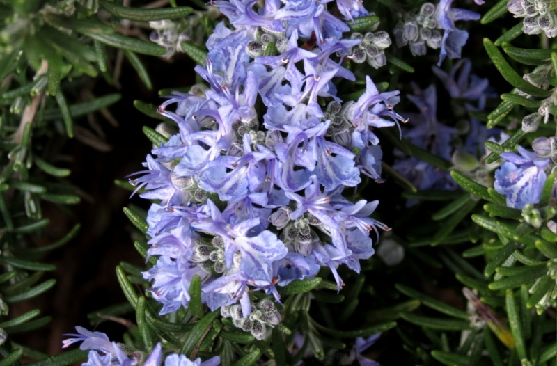 Случайная Италия. Просто погулять. Бергамо-Больцано-Брешиа, март 2017.