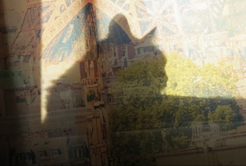 Поговорим о кошках43