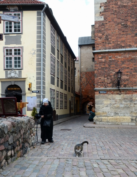 Поговорим о кошках43