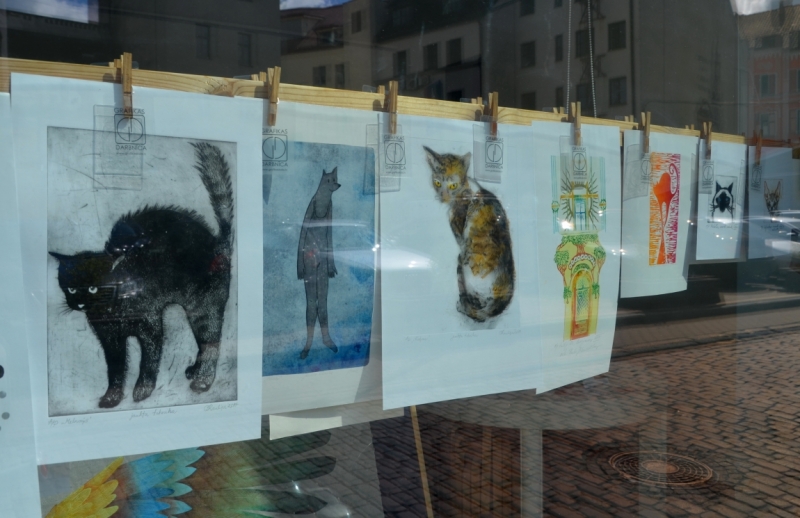 Поговорим о кошках43