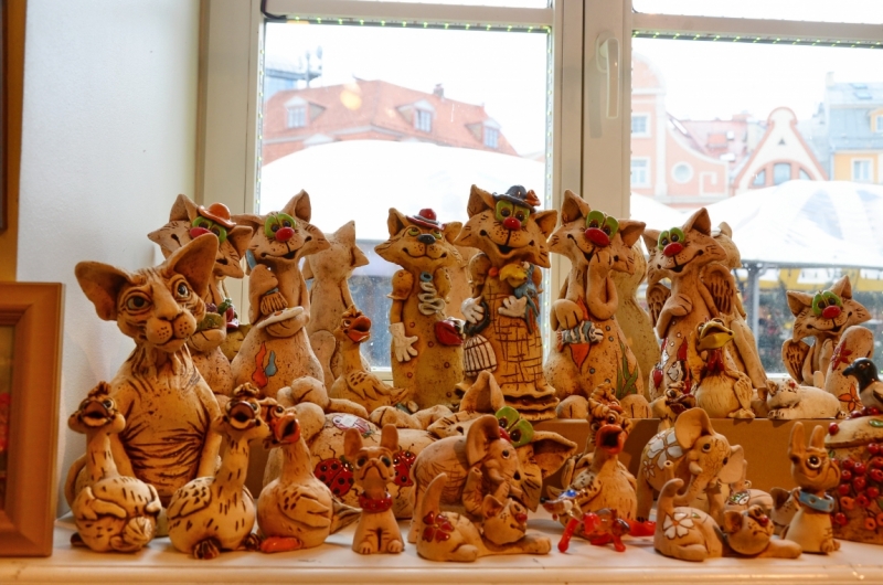 Поговорим о кошках43