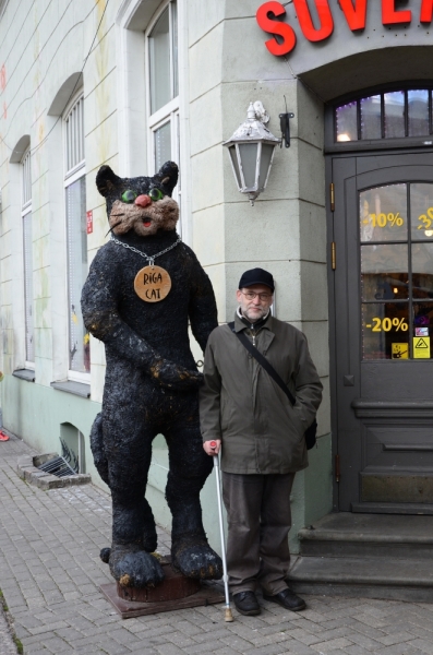 Поговорим о кошках43