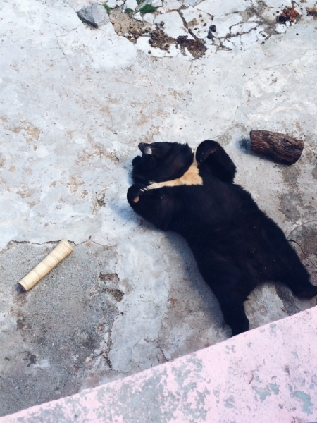 Армения из Омска, апрель 2017