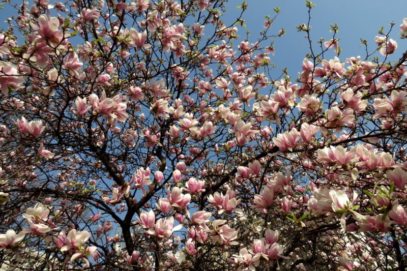 Случайная Италия. Просто погулять. Бергамо-Больцано-Брешиа, март 2017.