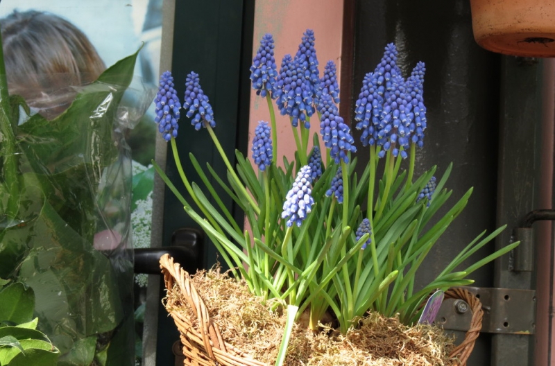 Случайная Италия. Просто погулять. Бергамо-Больцано-Брешиа, март 2017.