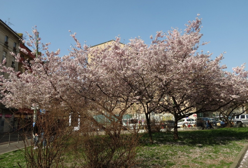 Случайная Италия. Просто погулять. Бергамо-Больцано-Брешиа, март 2017.