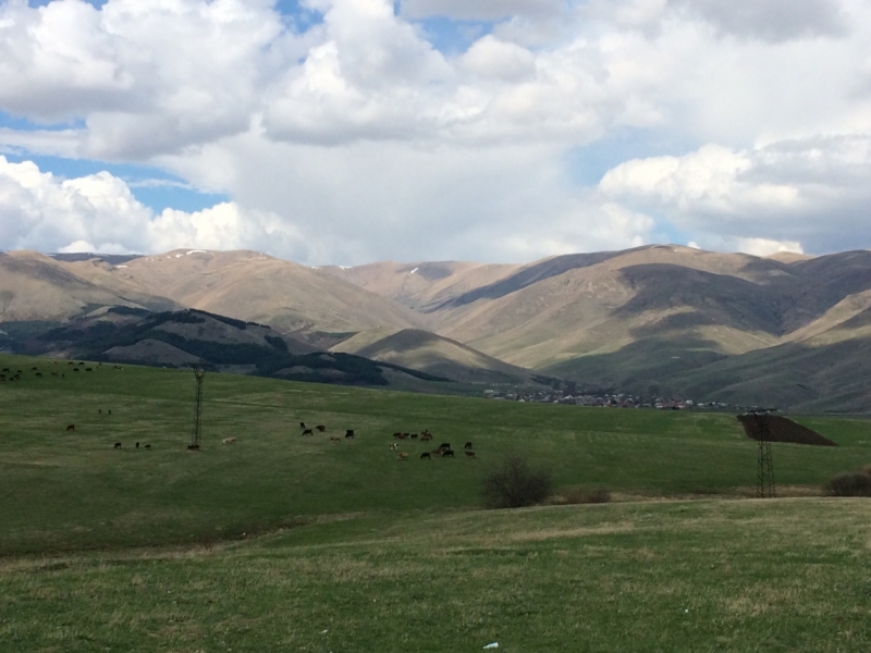 Армения из Омска, апрель 2017