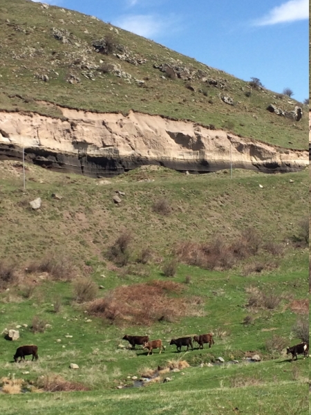 Армения из Омска, апрель 2017