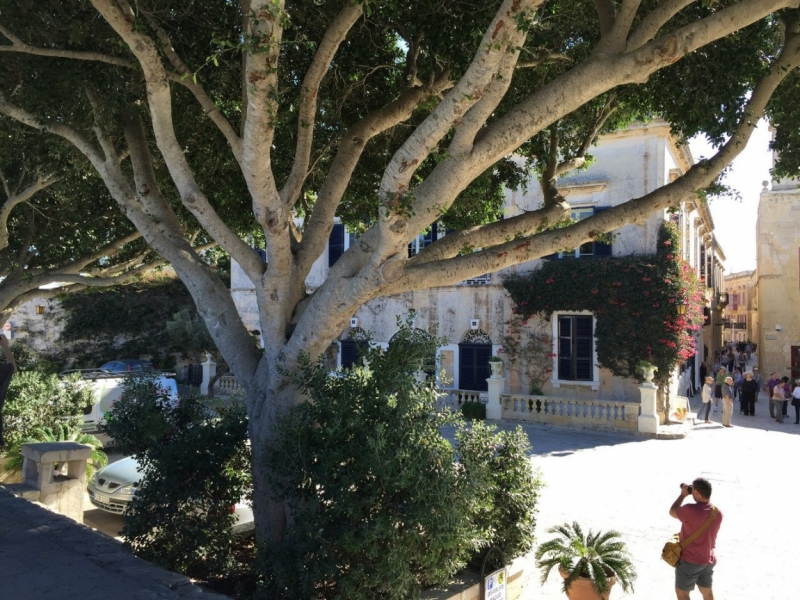 Мальта Ноябрь 2015