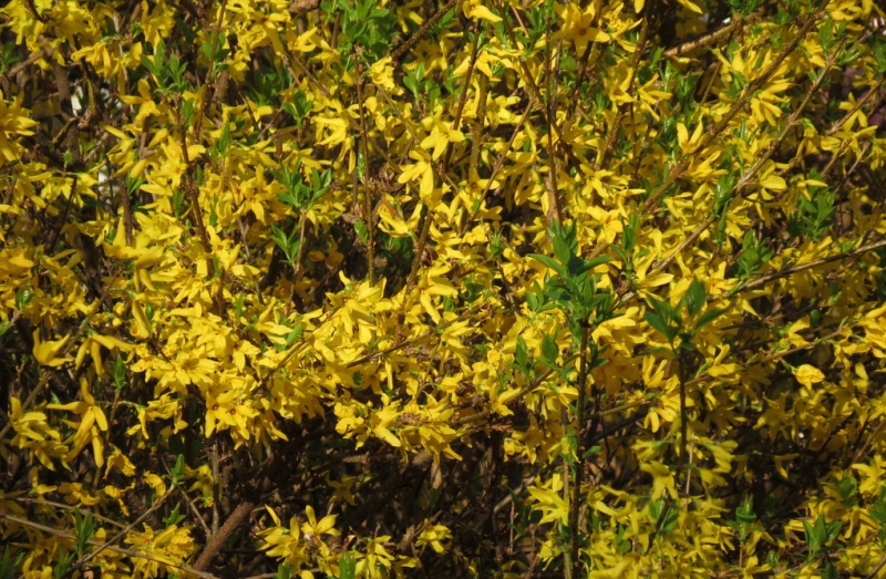 Случайная Италия. Просто погулять. Бергамо-Больцано-Брешиа, март 2017.