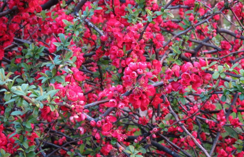 Случайная Италия. Просто погулять. Бергамо-Больцано-Брешиа, март 2017.