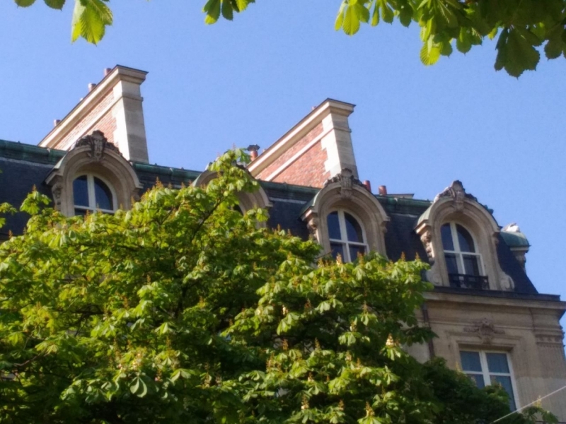 Париж, Париж, Париж или сбывшиеся мечты мамы и дочи