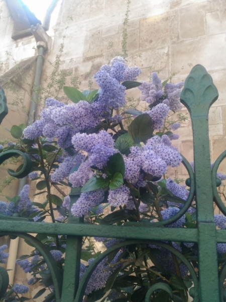 Париж, Париж, Париж или сбывшиеся мечты мамы и дочи