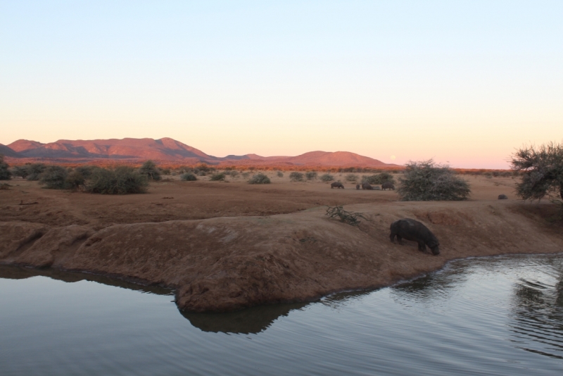 Намибия. 2 поездки: Зима и Лето. В какое время лучше ехать?