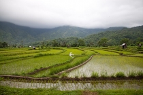 Ява, Бали, Ломбок, Гили Мено, Траванган. 9 человек, 3 недели